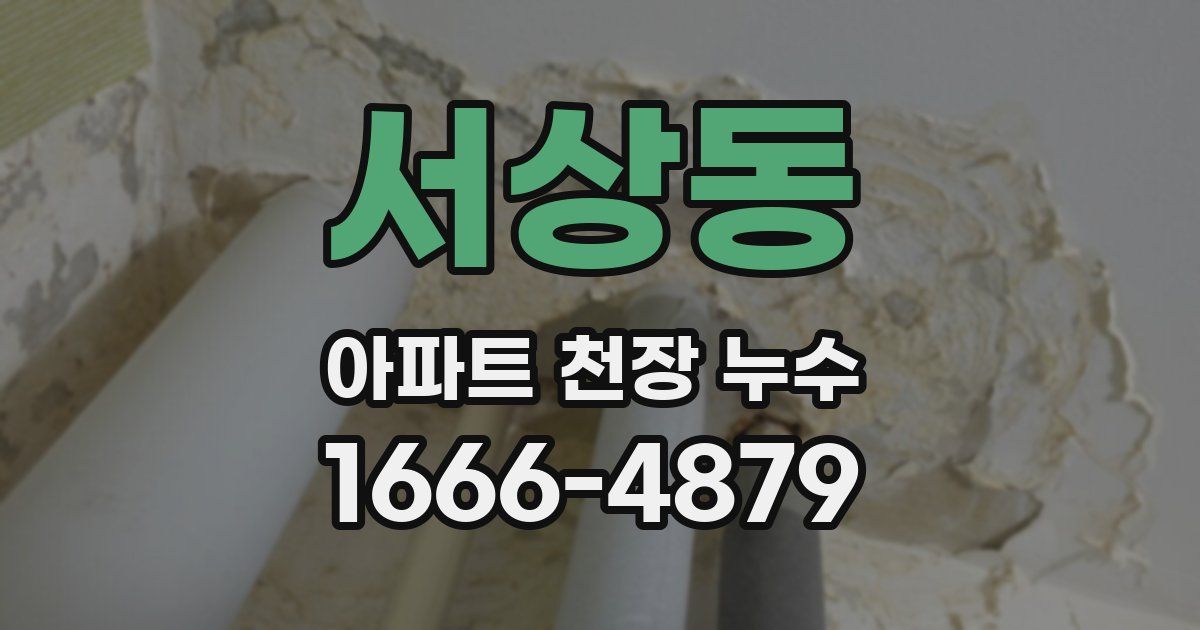 서상동 아파트 천장 누수