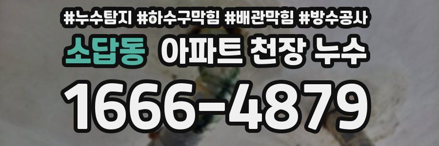 소답동 아파트 천장 누수