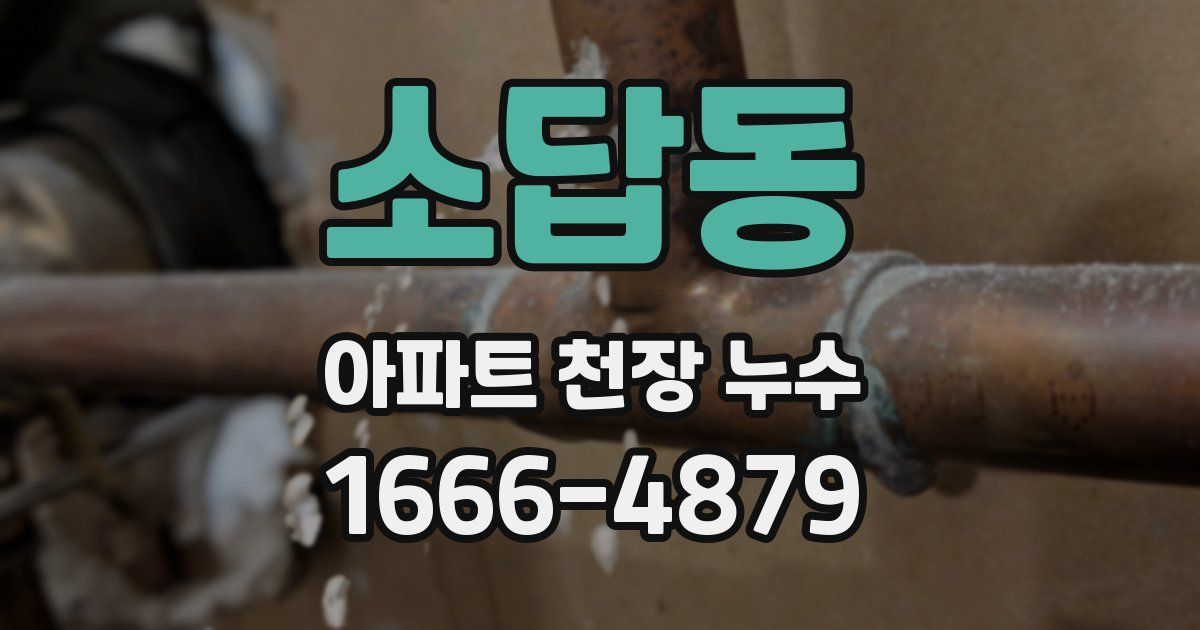 소답동 아파트 천장 누수