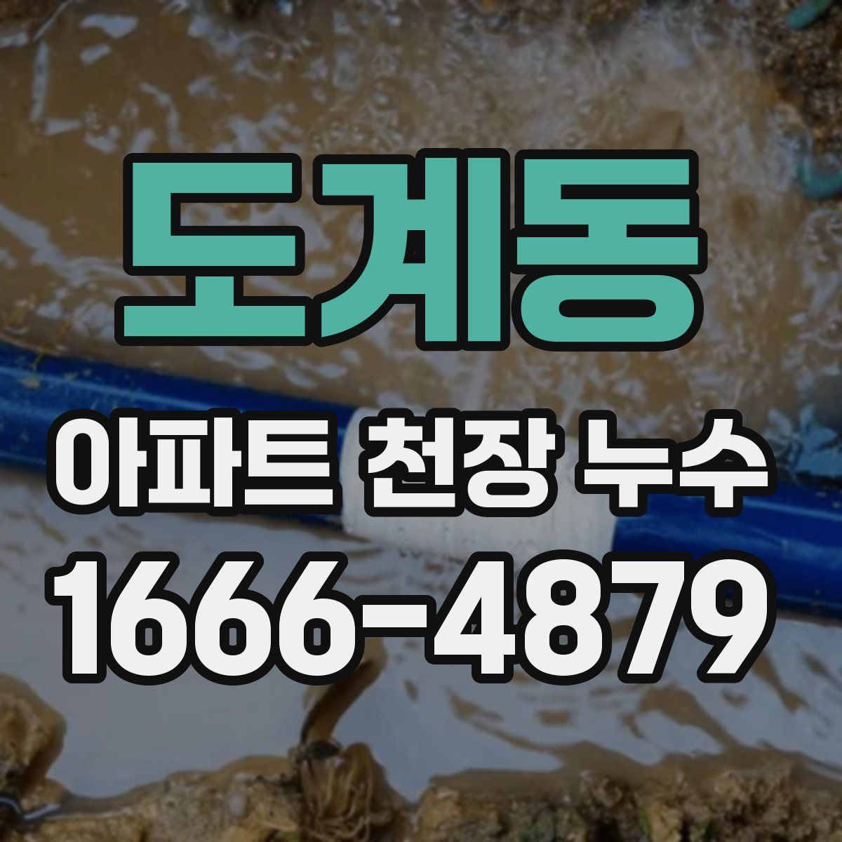 도계동 아파트 천장 누수