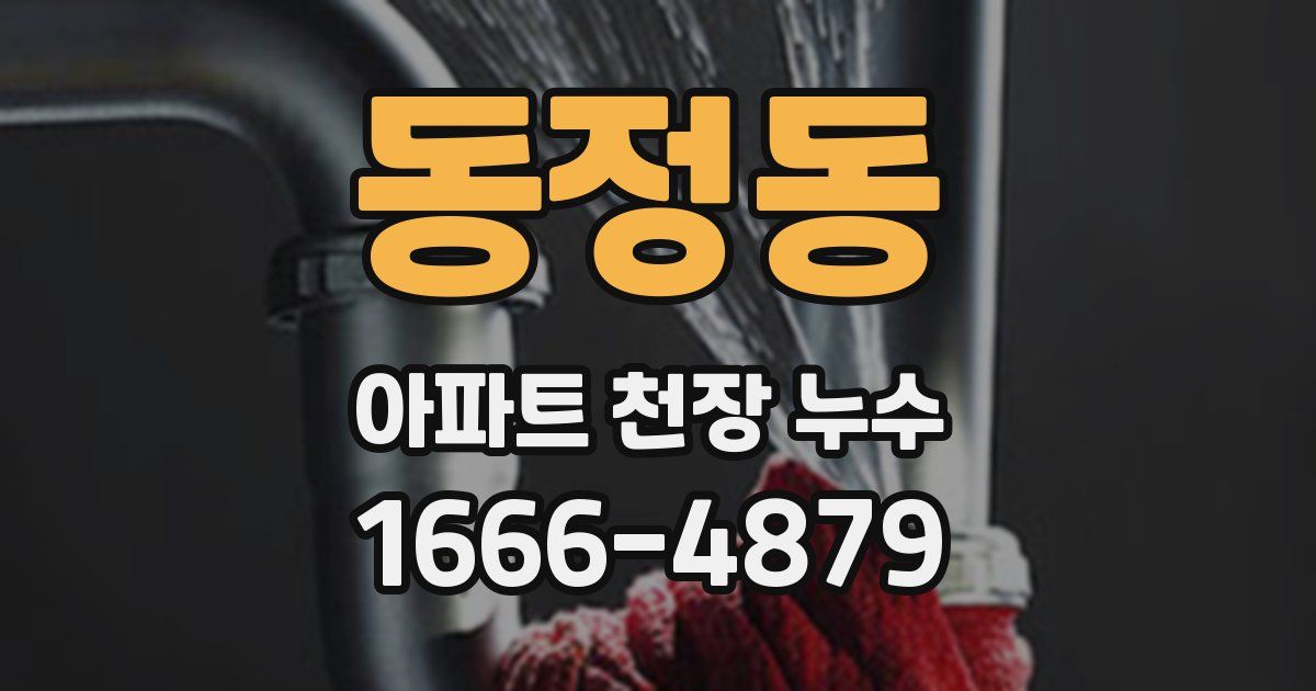 동정동 아파트 천장 누수