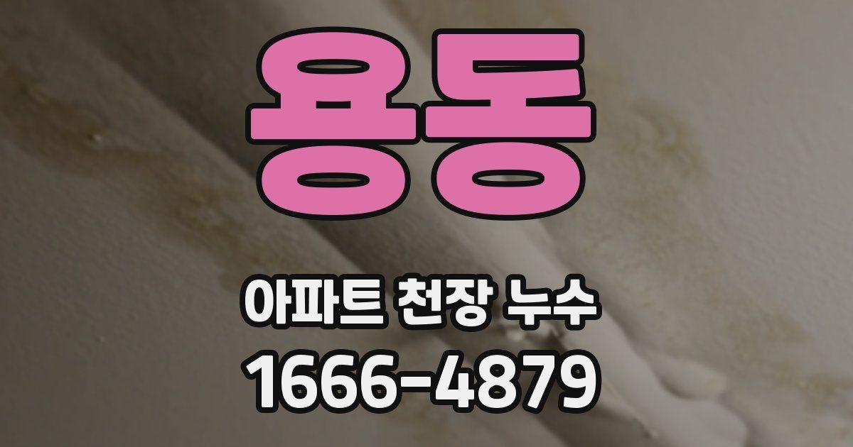 용동 아파트 천장 누수