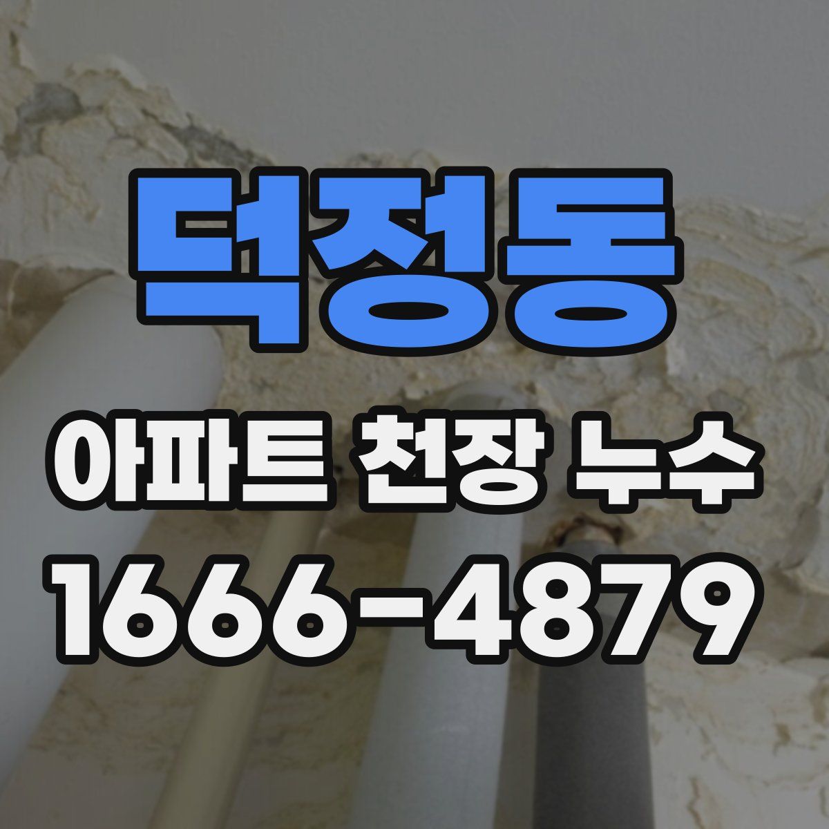 덕정동 아파트 천장 누수