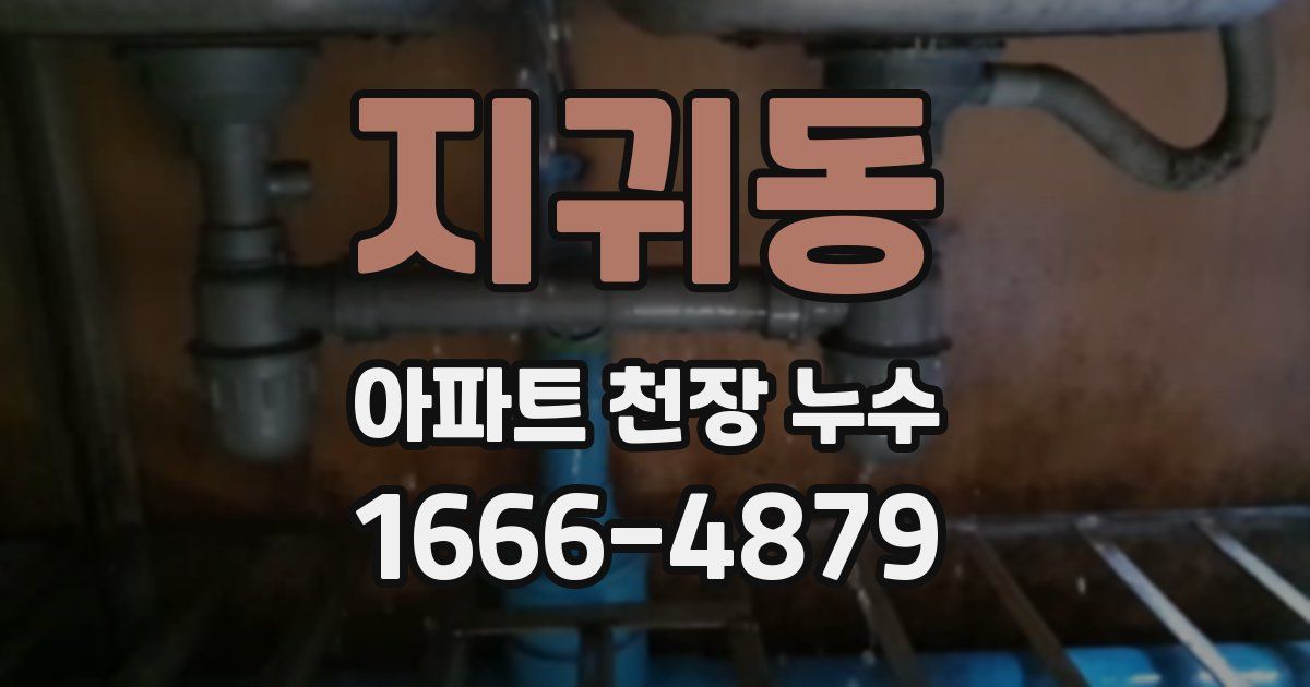 지귀동 아파트 천장 누수