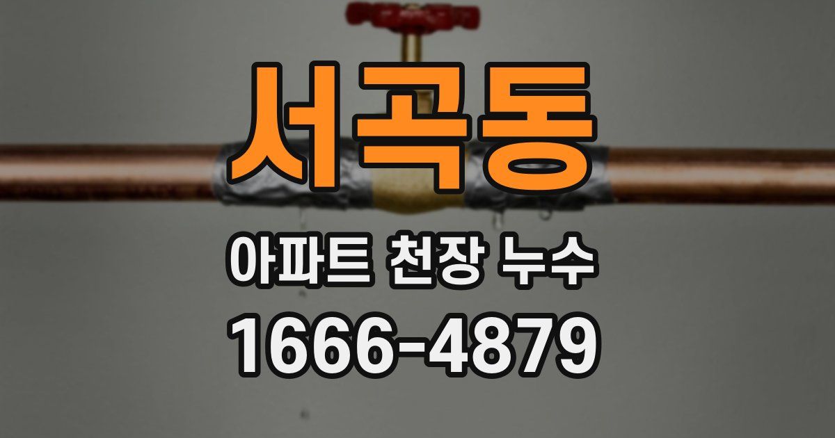 서곡동 아파트 천장 누수