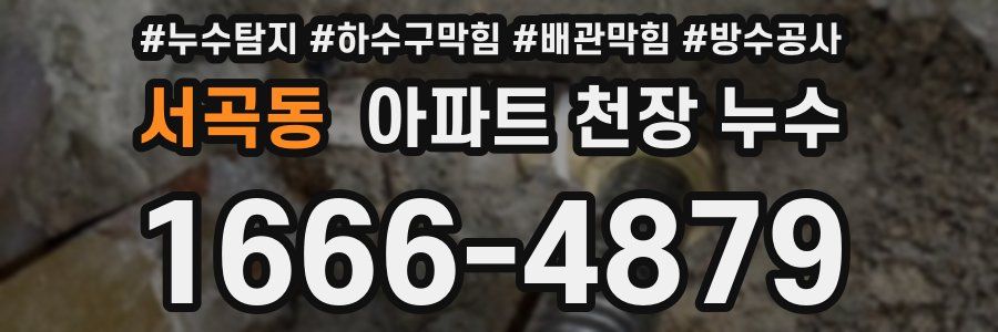 서곡동 아파트 천장 누수