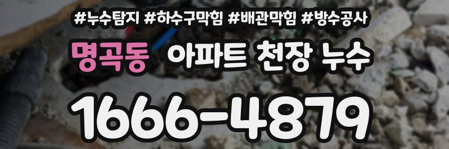 명곡동 아파트 천장 누수