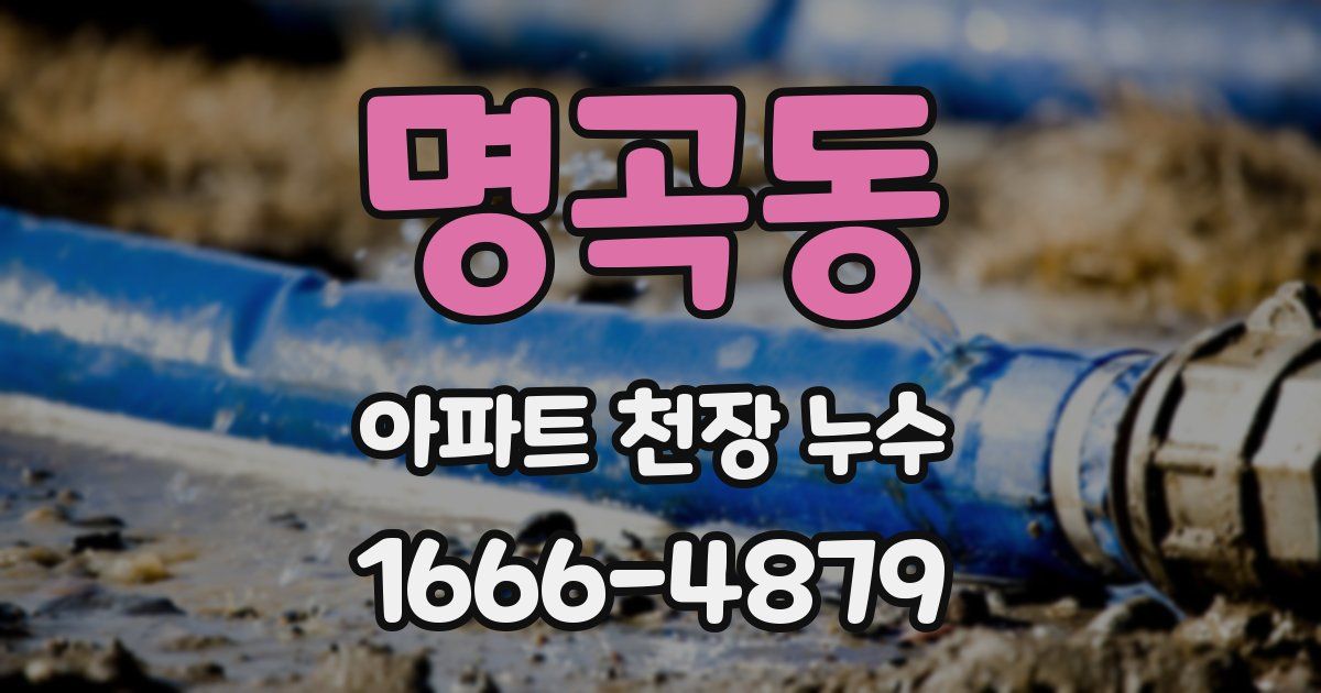 명곡동 아파트 천장 누수