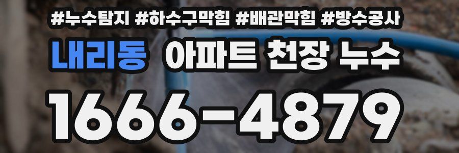 내리동 아파트 천장 누수