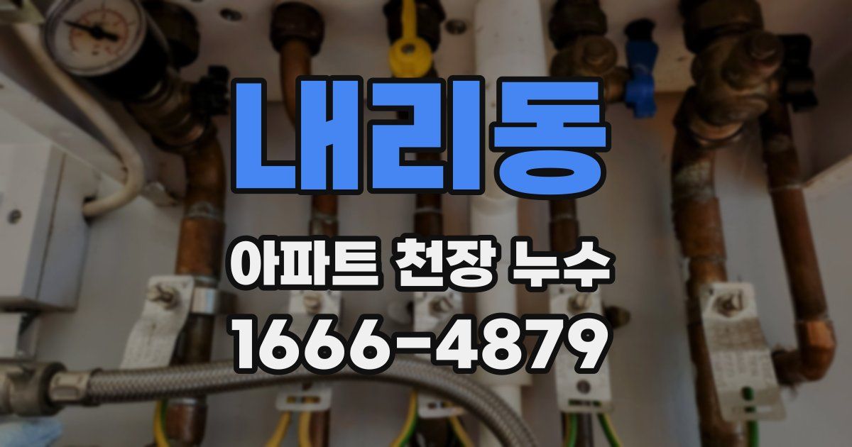 내리동 아파트 천장 누수