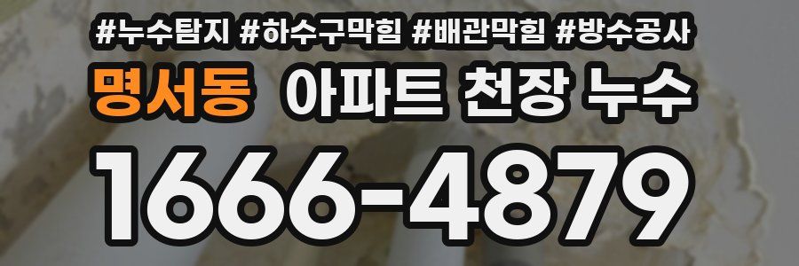 명서동 아파트 천장 누수