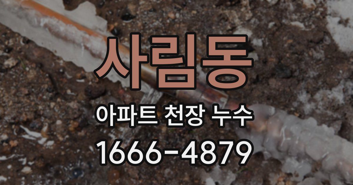 사림동 아파트 천장 누수