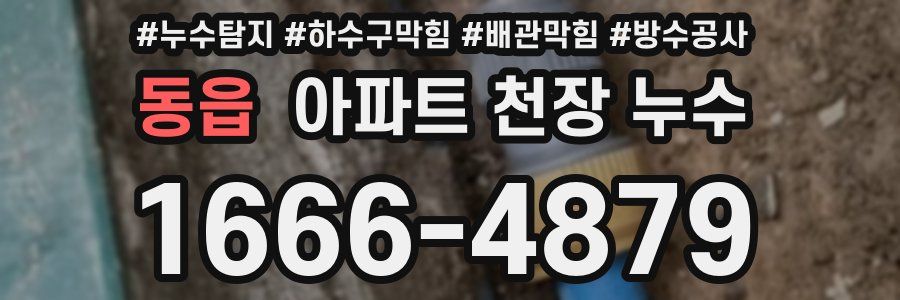 동읍 아파트 천장 누수