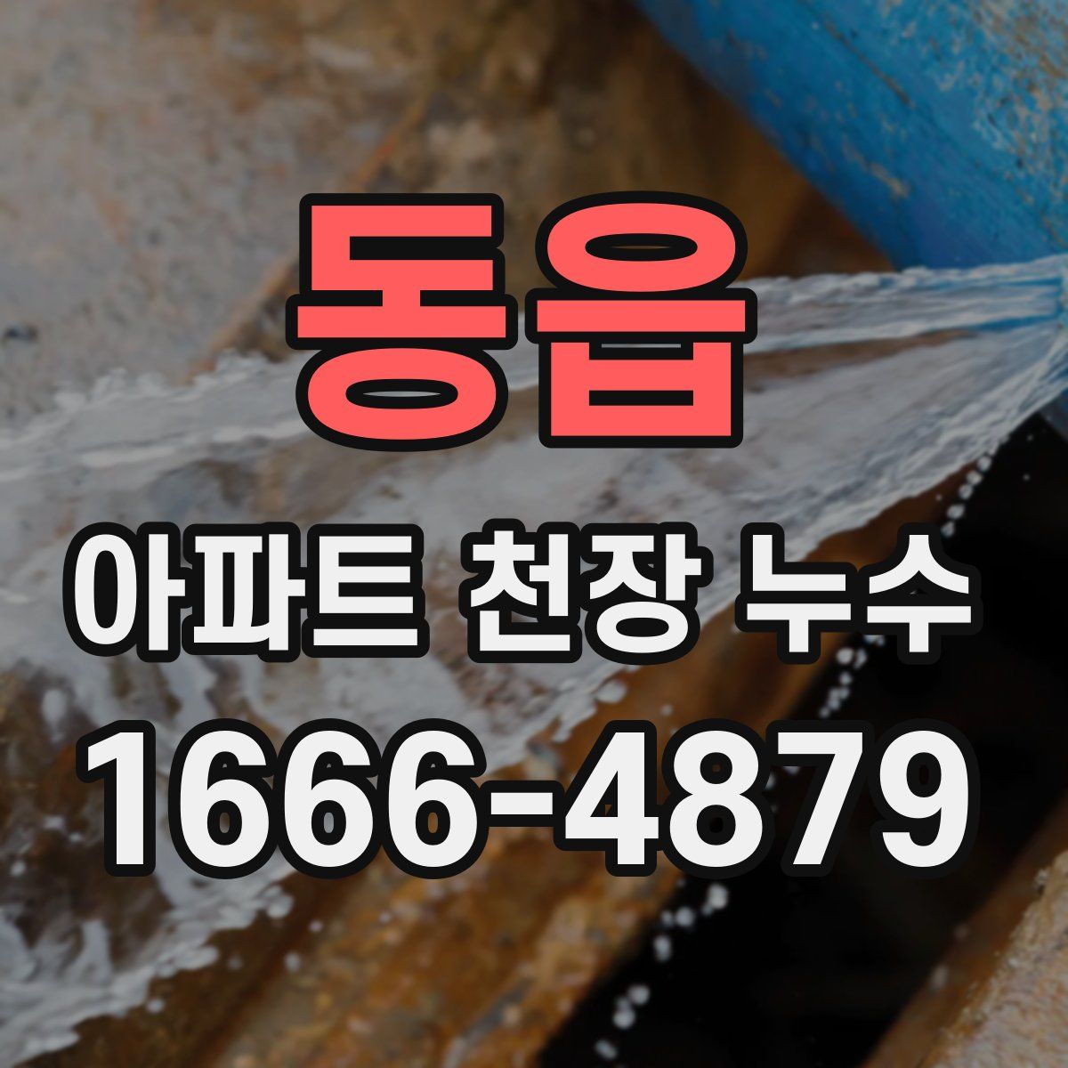 동읍 아파트 천장 누수