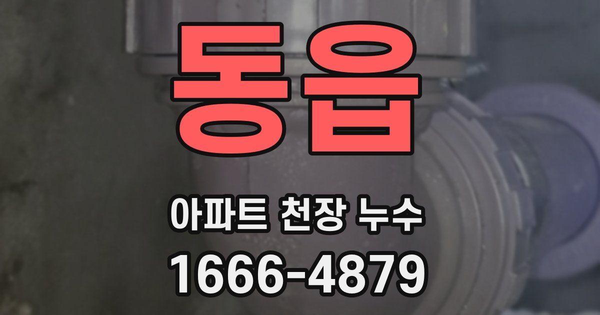 동읍 아파트 천장 누수