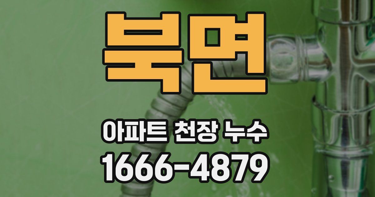 북면 아파트 천장 누수