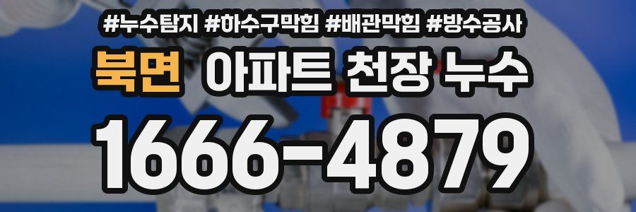 북면 아파트 천장 누수