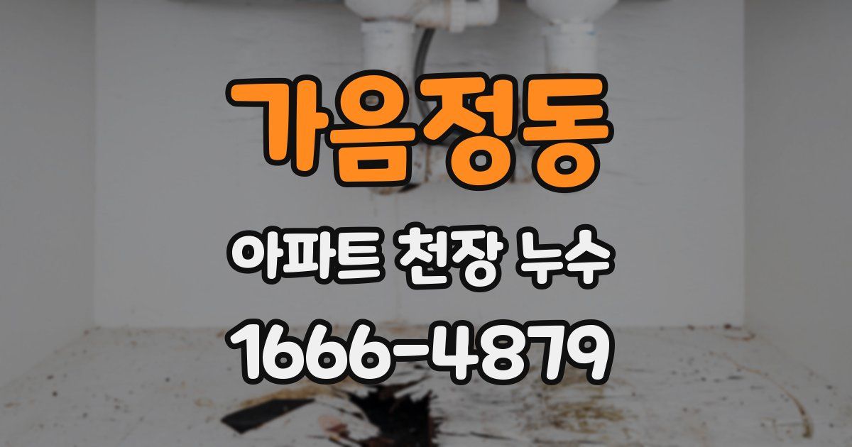 가음정동 아파트 천장 누수