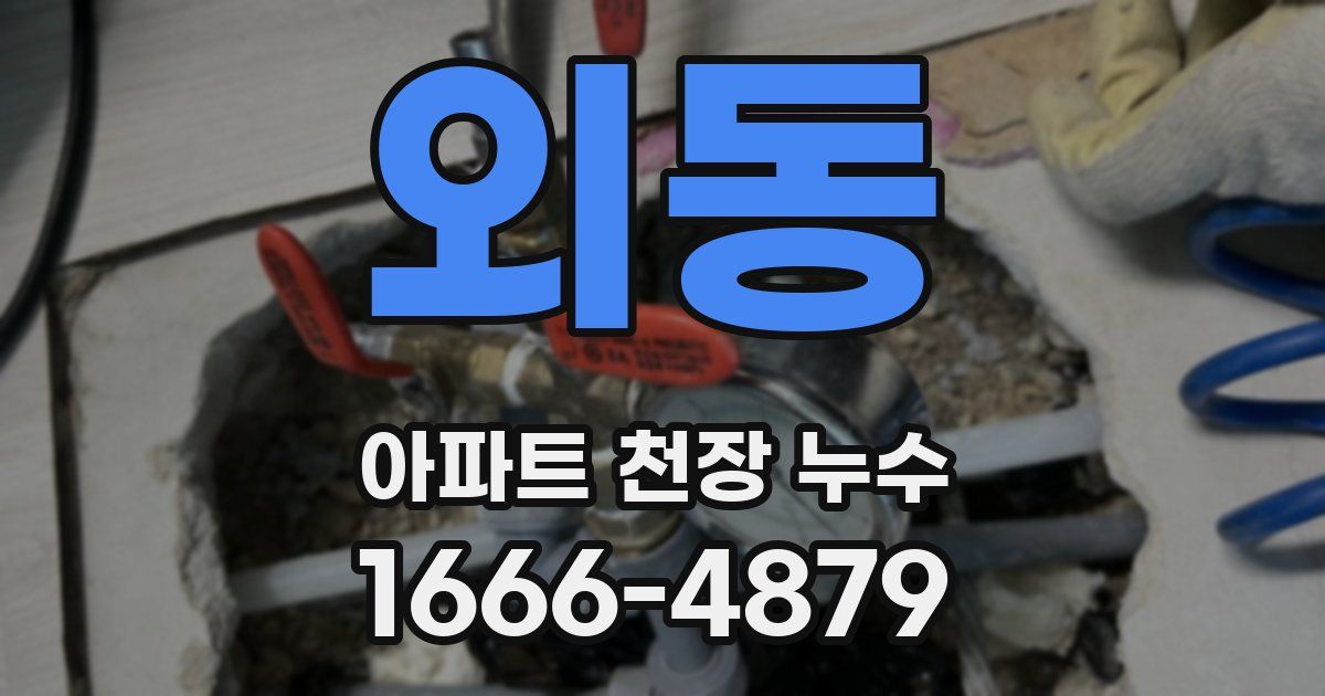 외동 아파트 천장 누수