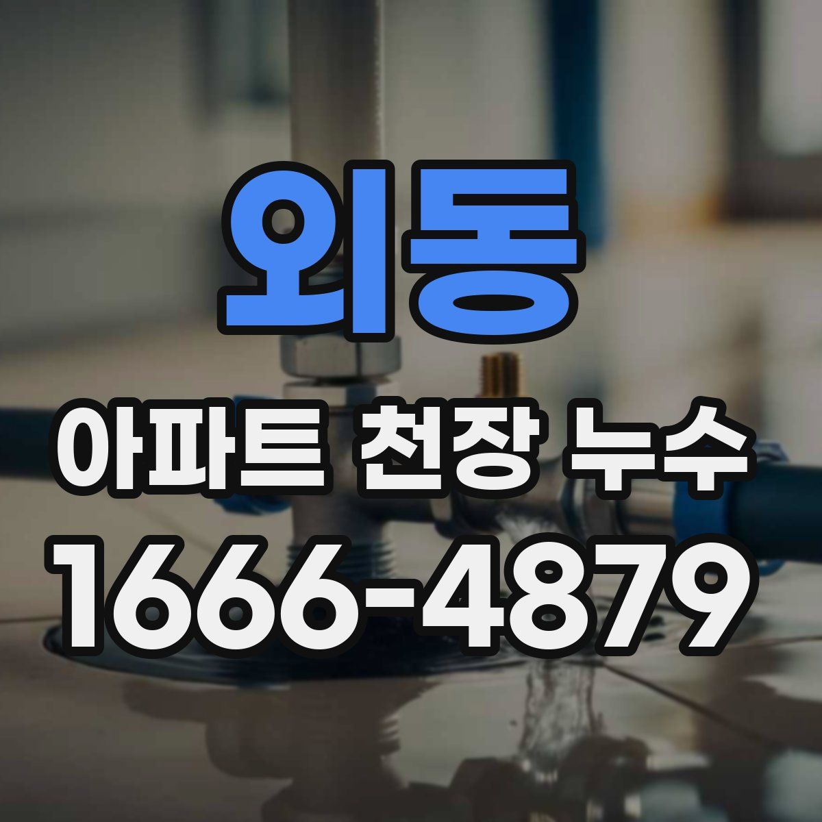 외동 아파트 천장 누수