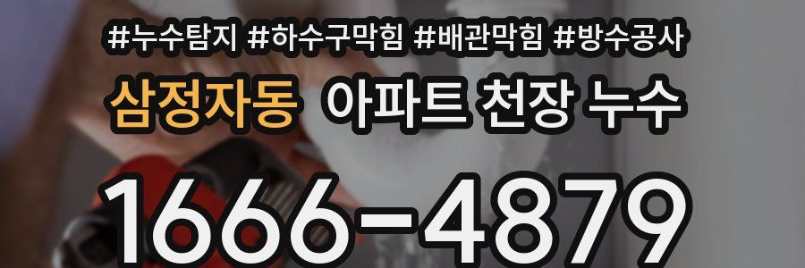 삼정자동 아파트 천장 누수