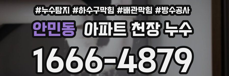 안민동 아파트 천장 누수