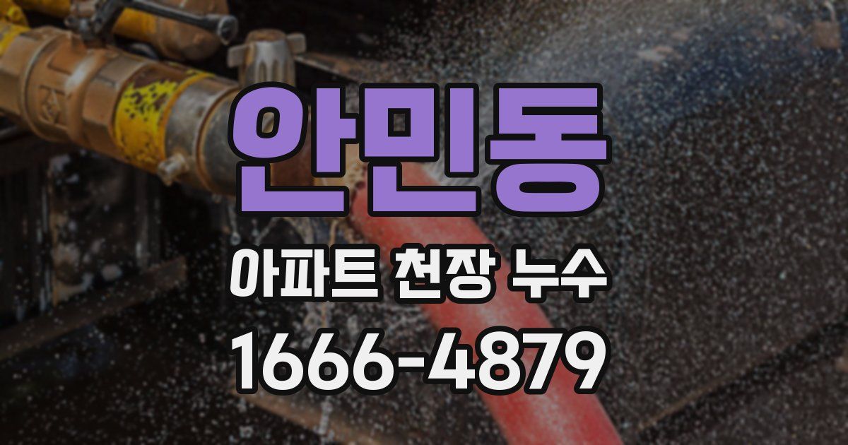안민동 아파트 천장 누수