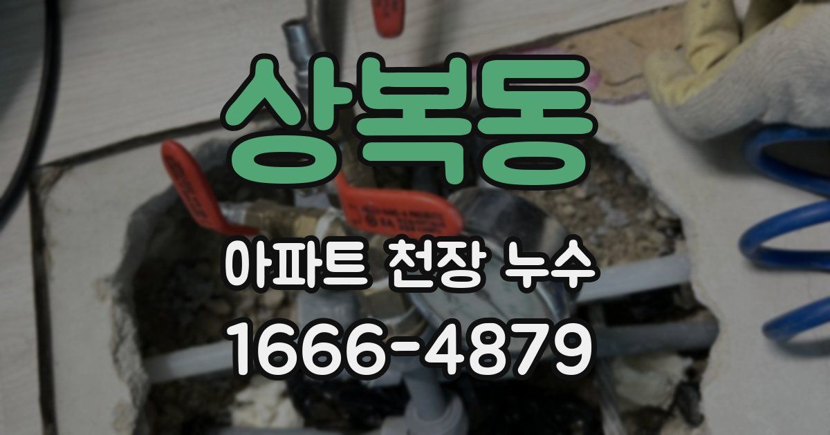 상복동 아파트 천장 누수