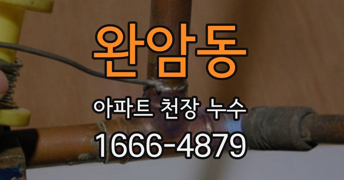 완암동 아파트 천장 누수