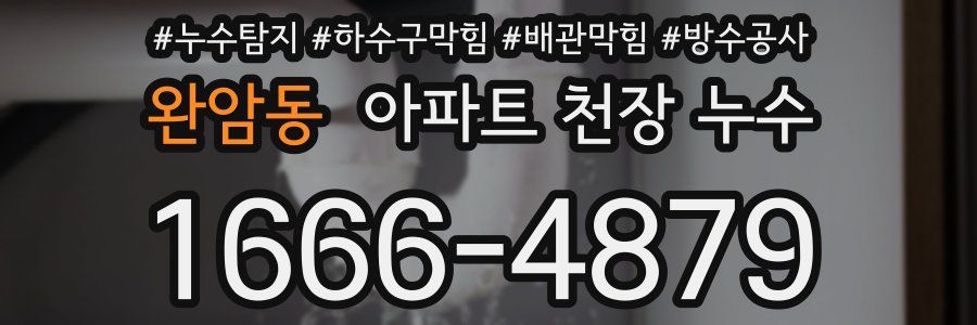 완암동 아파트 천장 누수