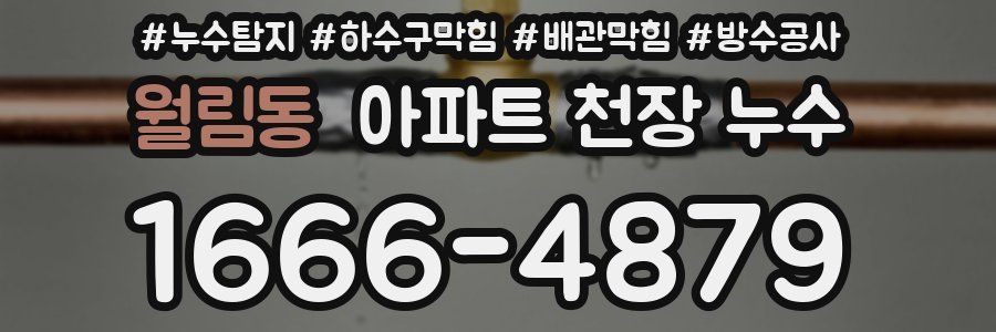 월림동 아파트 천장 누수