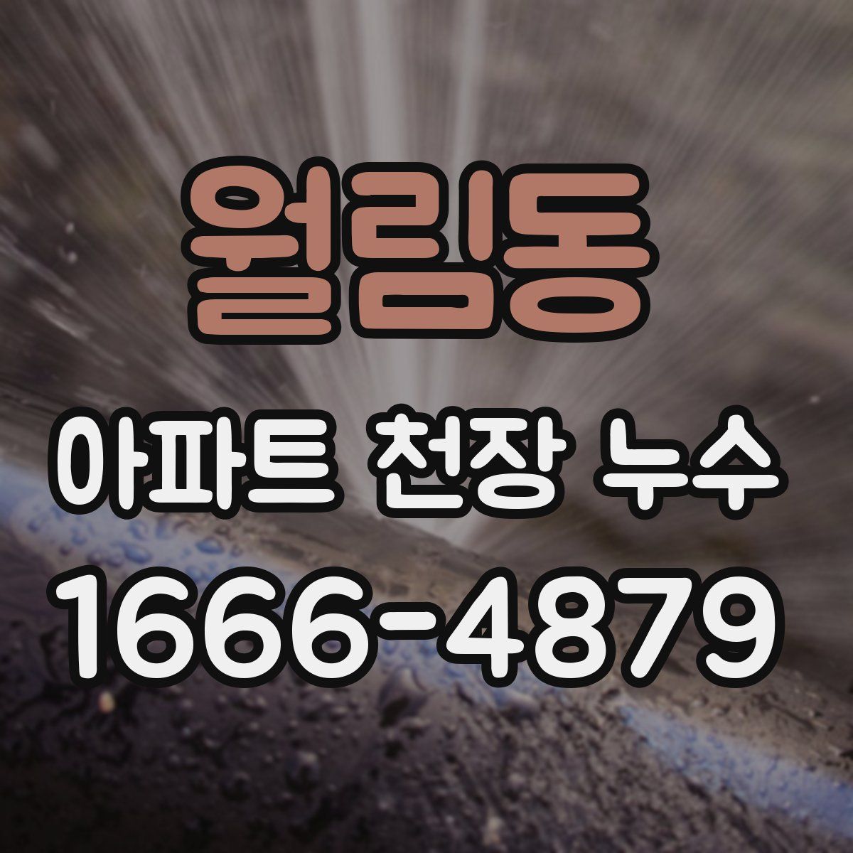 월림동 아파트 천장 누수