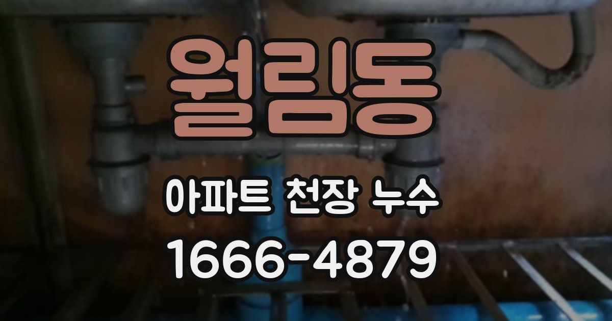 월림동 아파트 천장 누수