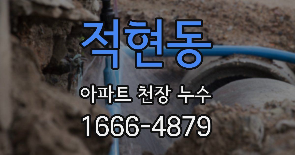 적현동 아파트 천장 누수