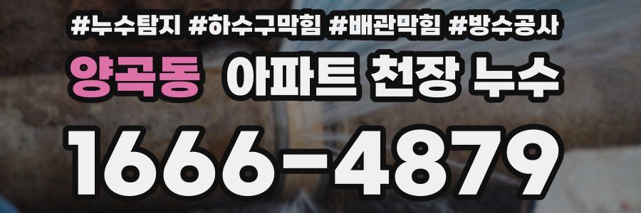 양곡동 아파트 천장 누수