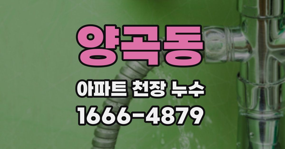 양곡동 아파트 천장 누수