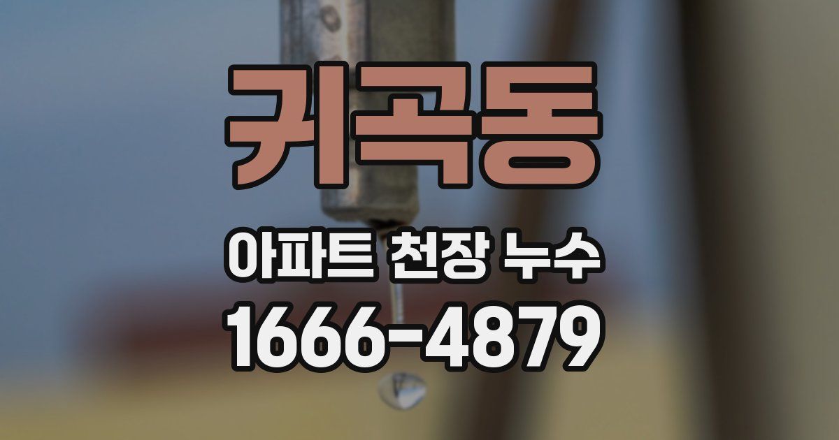 귀곡동 아파트 천장 누수