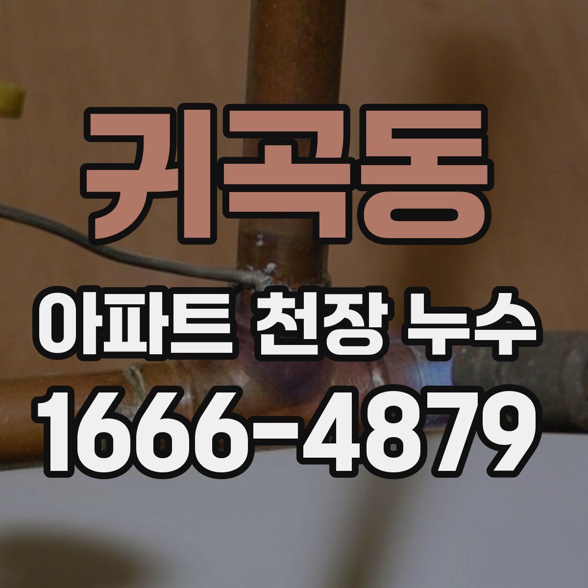 귀곡동 아파트 천장 누수