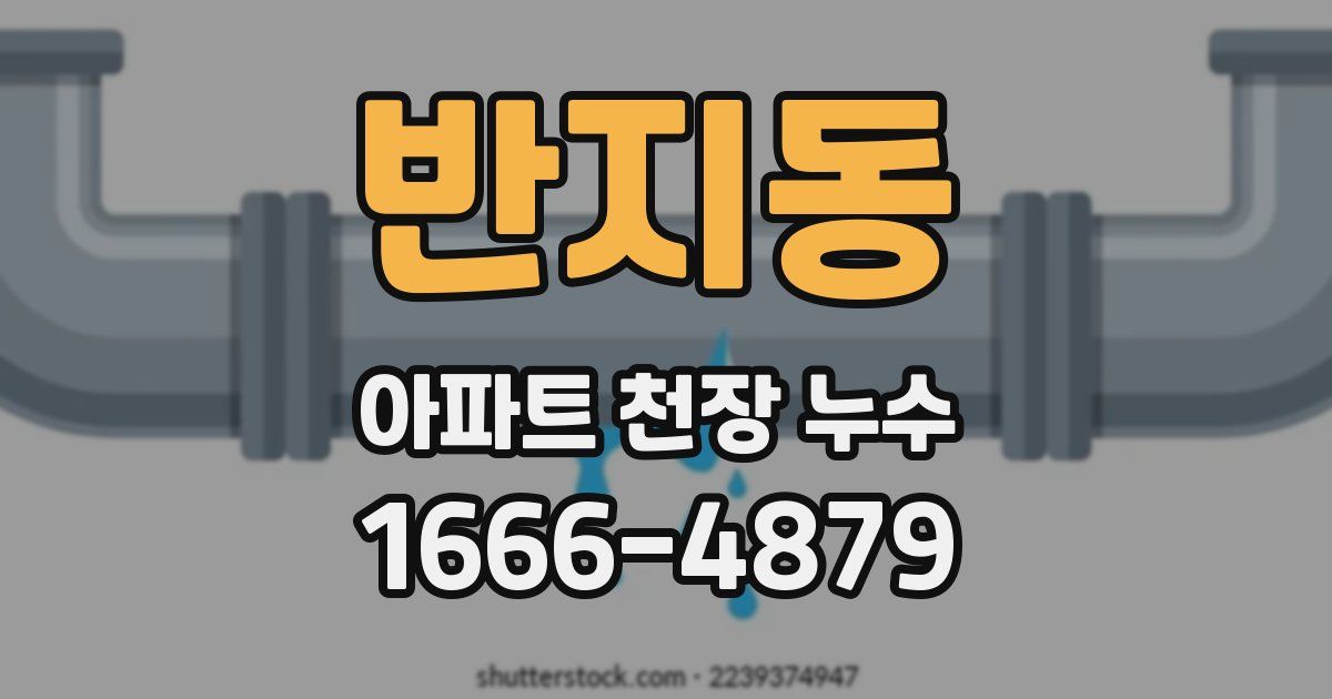 반지동 아파트 천장 누수