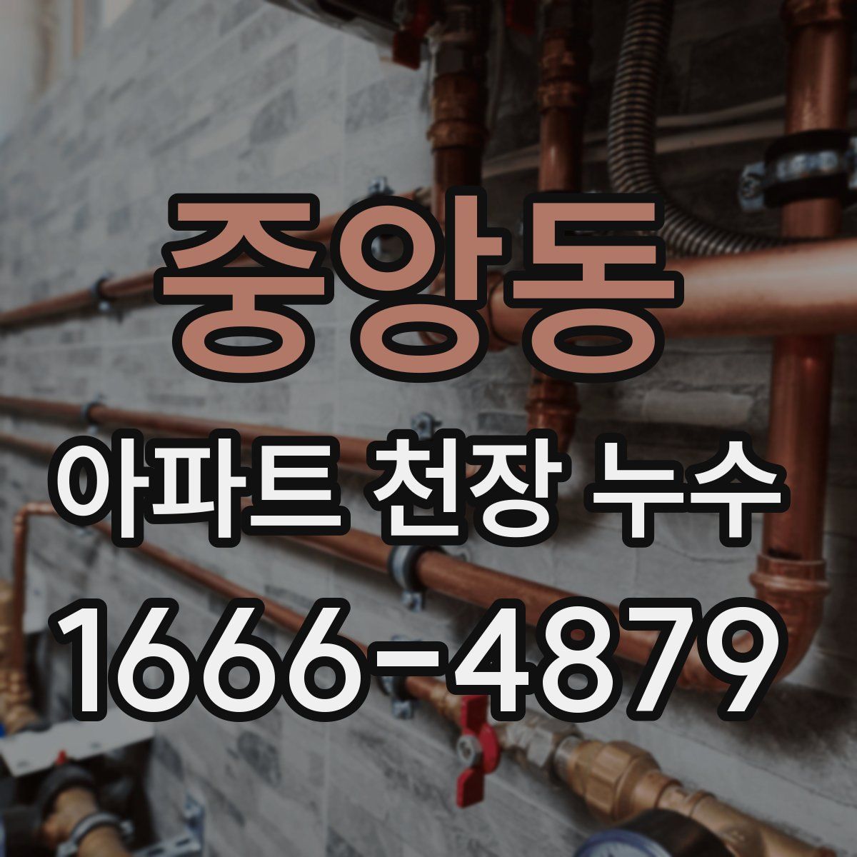 중앙동 아파트 천장 누수
