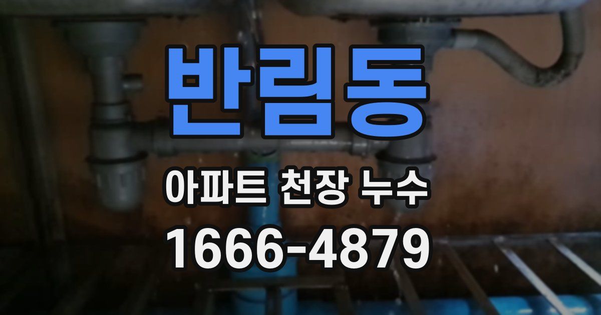 반림동 아파트 천장 누수