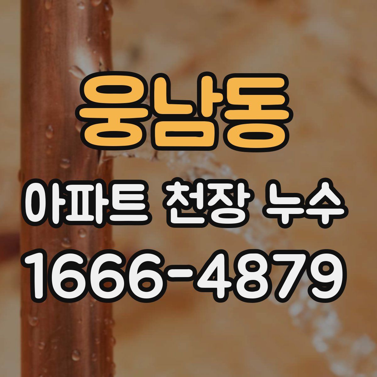웅남동 아파트 천장 누수