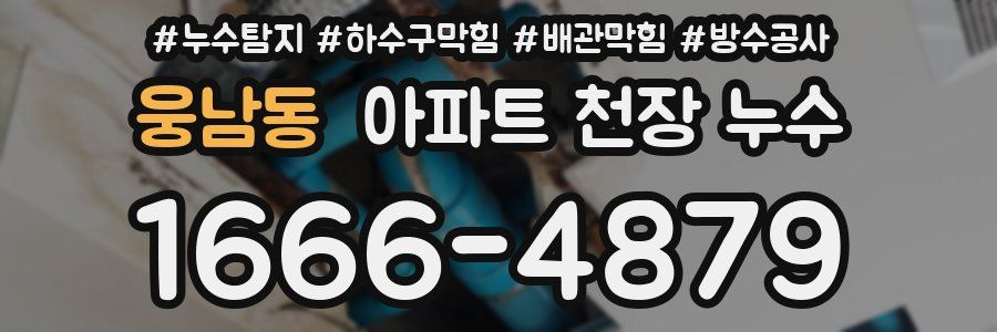 웅남동 아파트 천장 누수