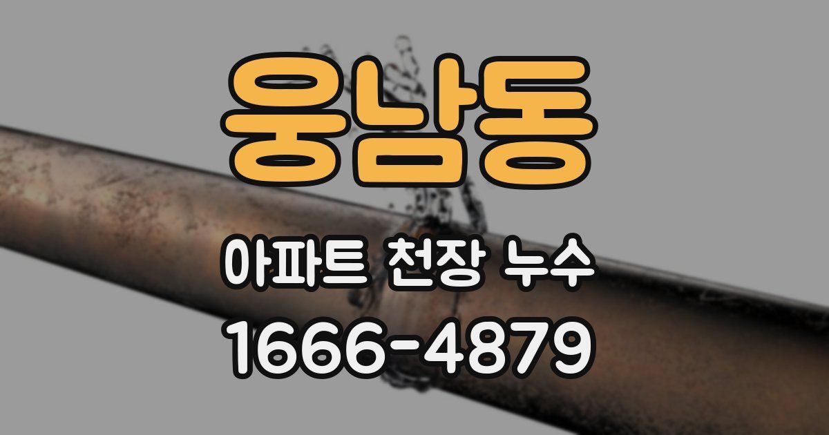 웅남동 아파트 천장 누수