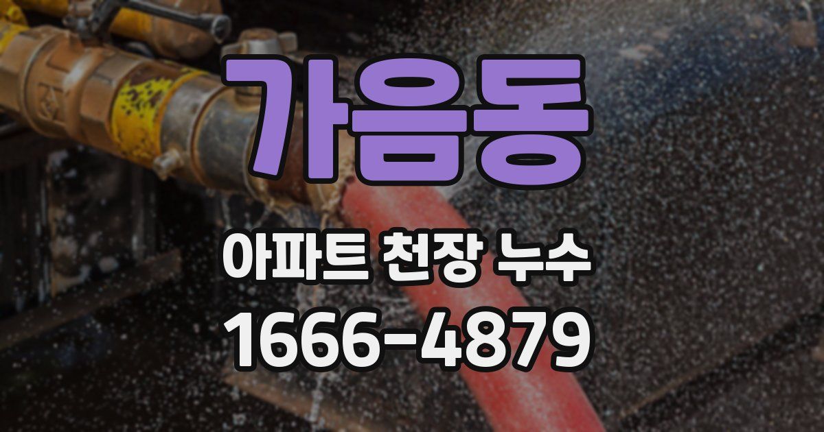 가음동 아파트 천장 누수