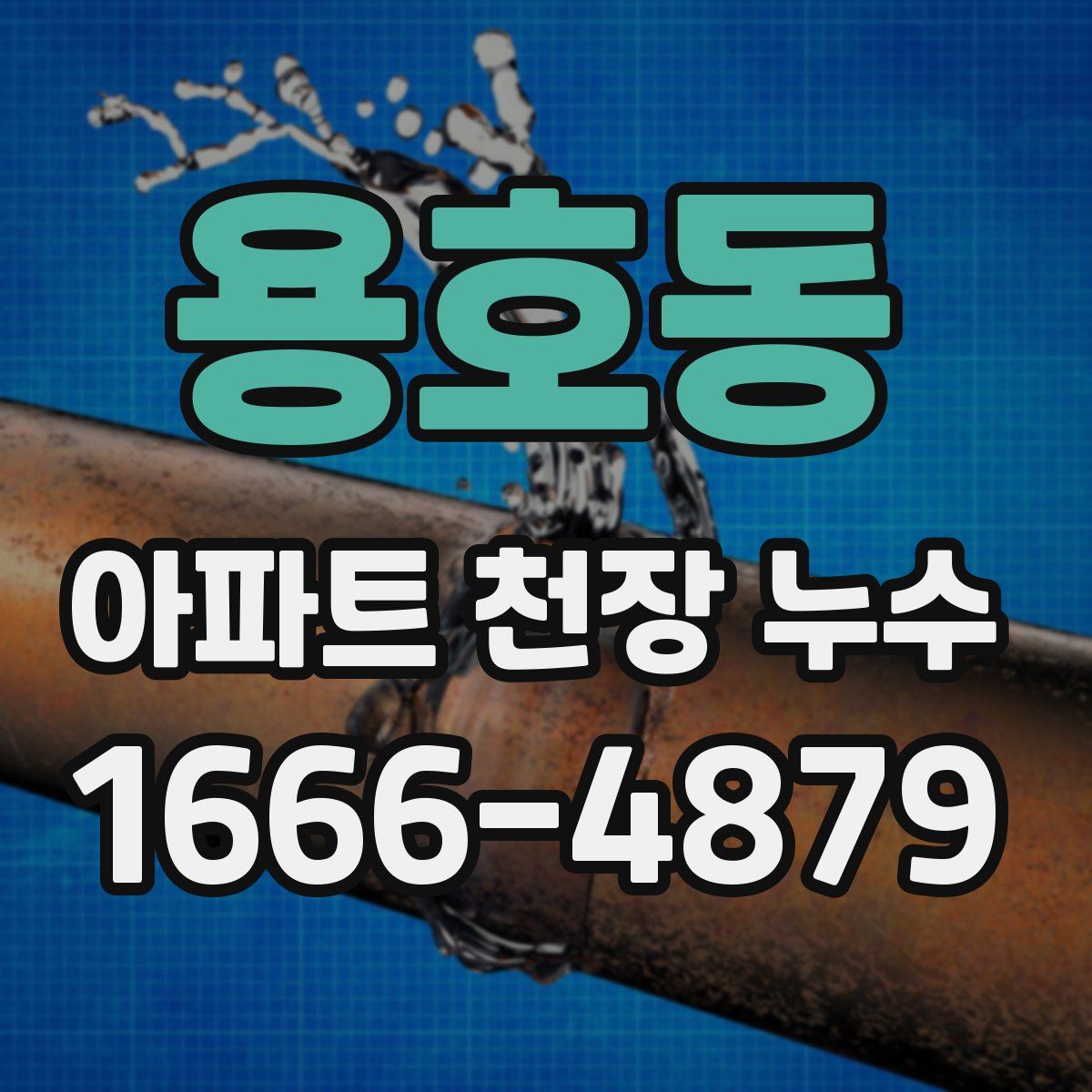 용호동 아파트 천장 누수