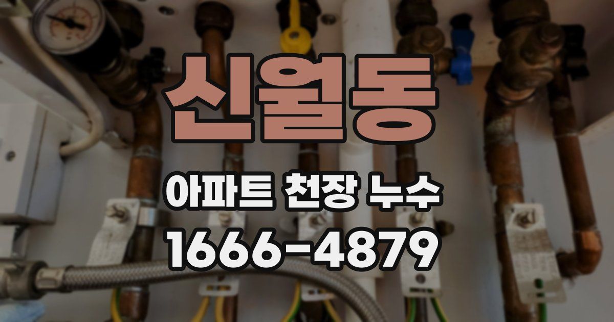 신월동 아파트 천장 누수