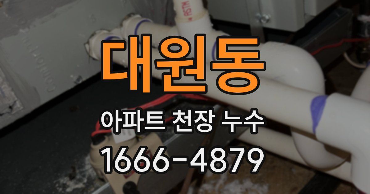 대원동 아파트 천장 누수