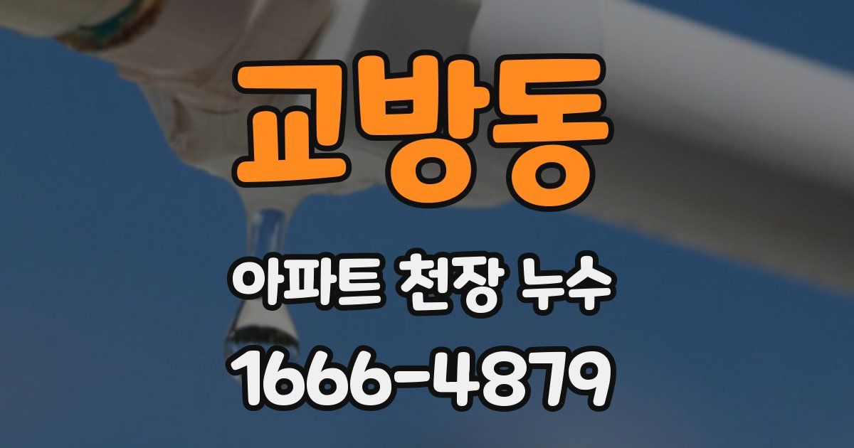교방동 아파트 천장 누수