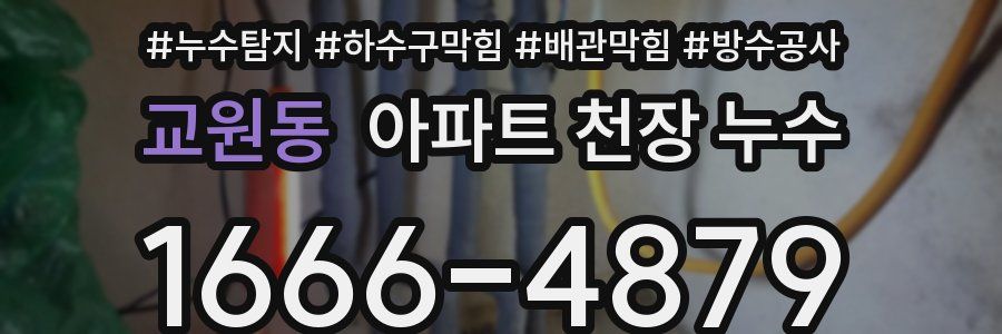 교원동 아파트 천장 누수